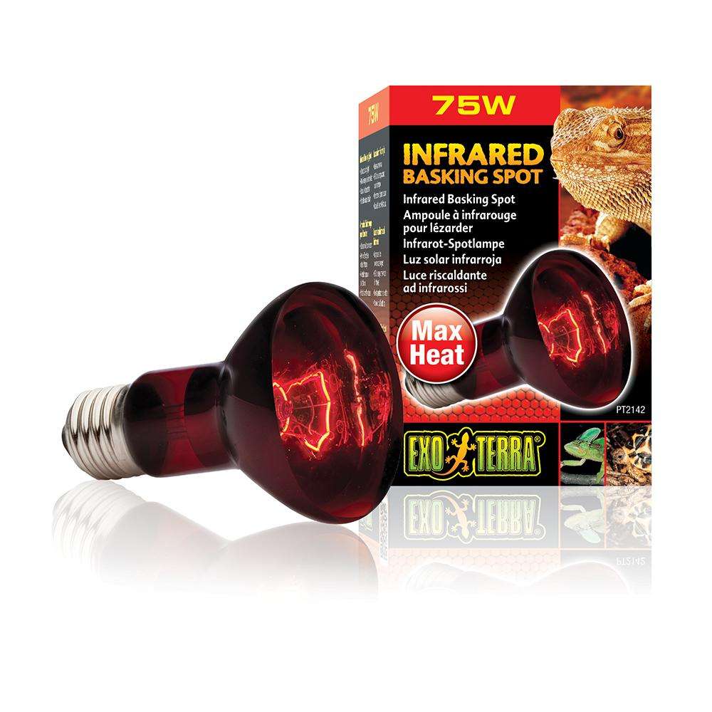 Exo Terra Heat Glo Infrared Terrarium Bulb 75 Watt