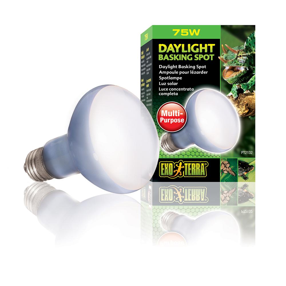75 Watt Daylight Basking Terrarium Bulb from Exo Terra
