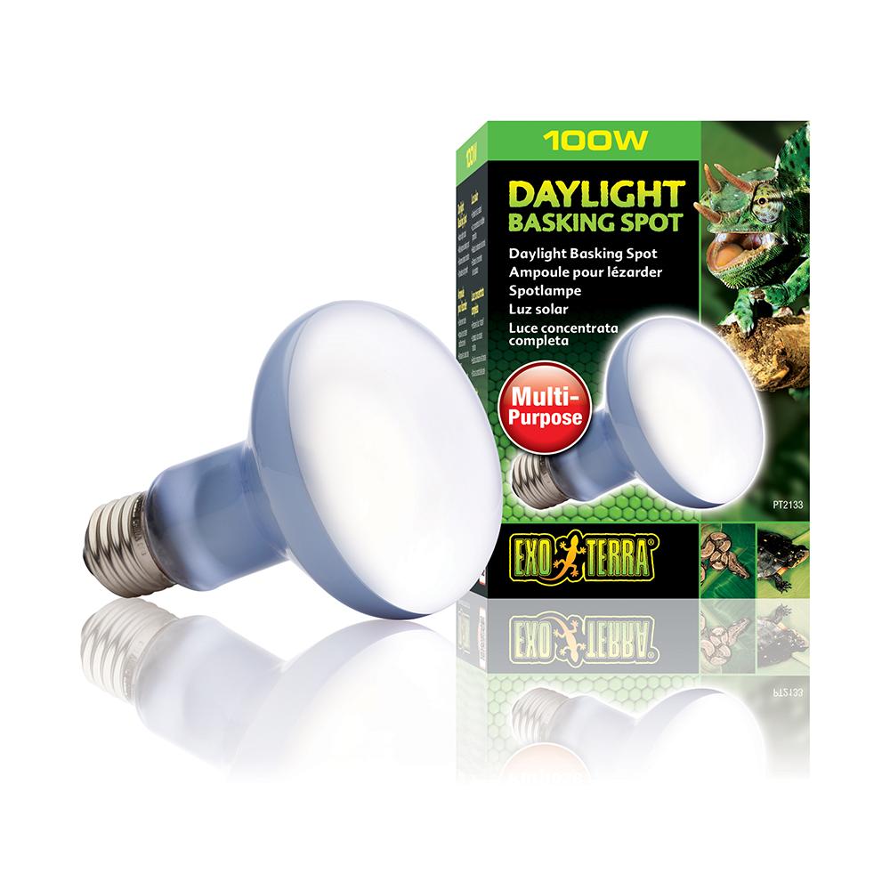 100 Watt Daylight Basking Terrarium Bulb from Exo Terra