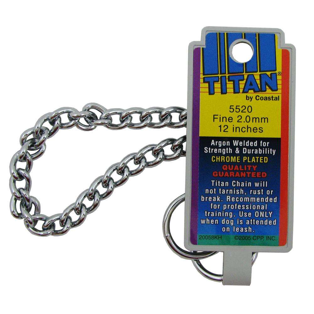 Coastal Titan Chrome Steel Dog Choke Chain Fine 12 inch