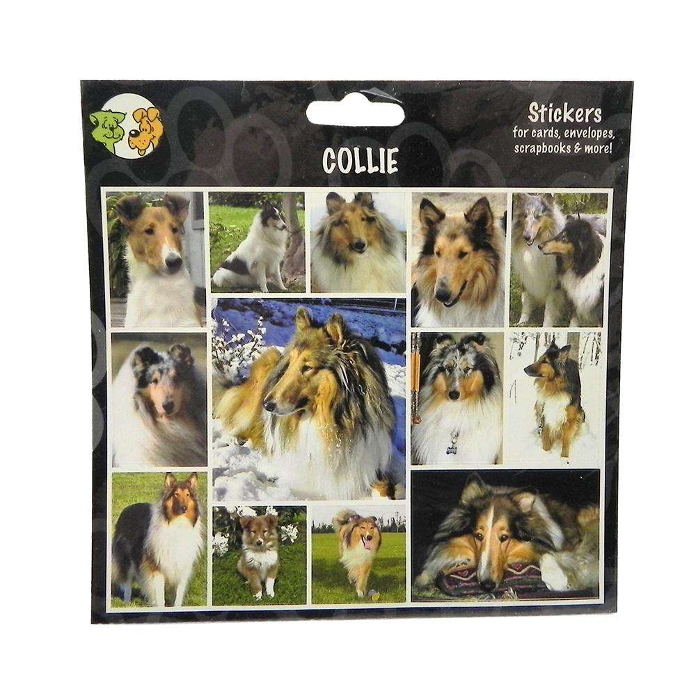 Arf Art Dog Sticker Pack Collie