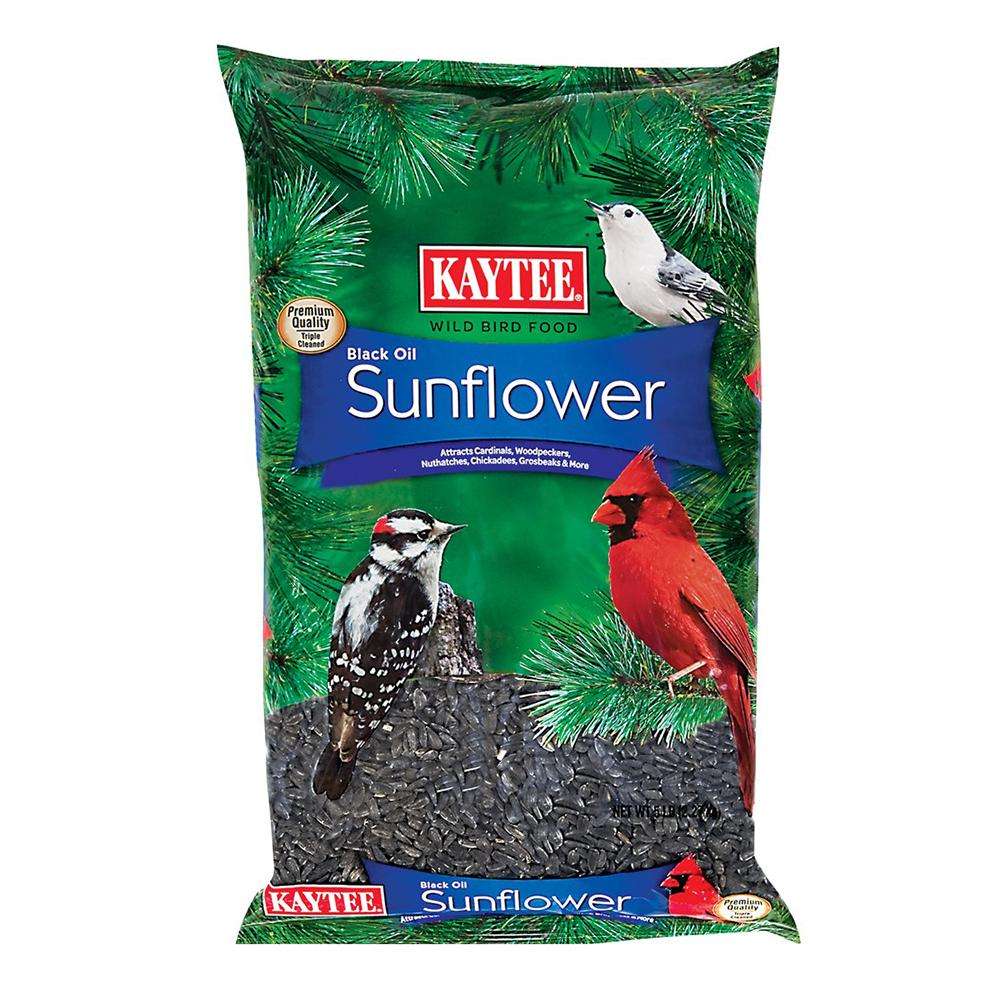 Kaytee Premium Black Oil Sunflower Seed 5 lb