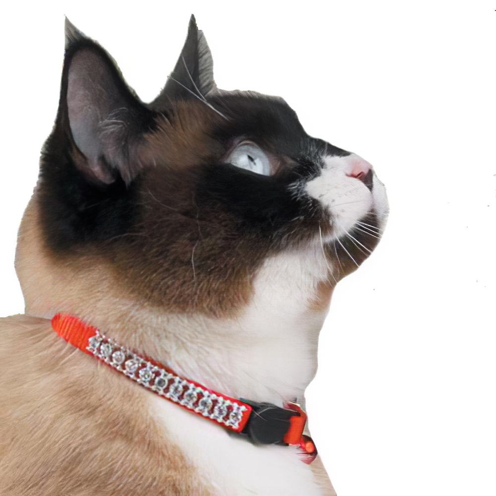 Cat Collar Rhinestones Red