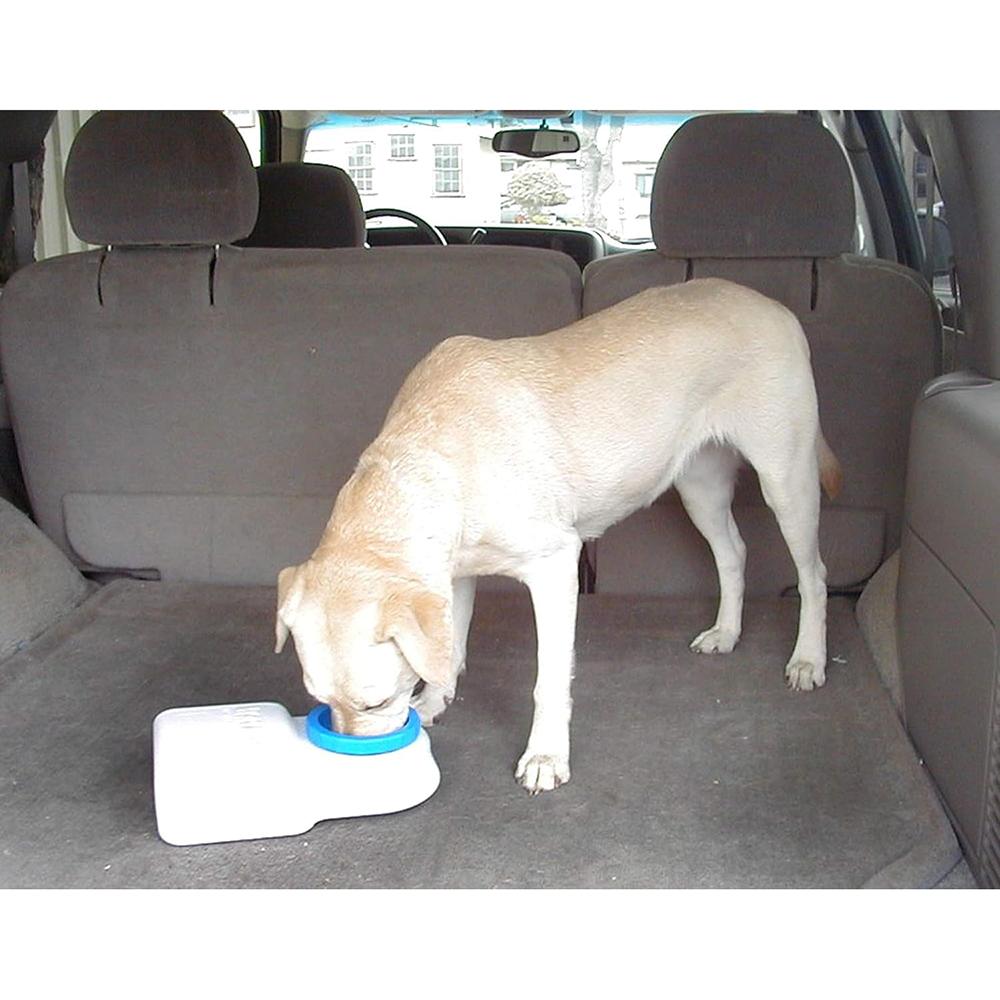 Lixit Waterboy Dog Travel Waterer