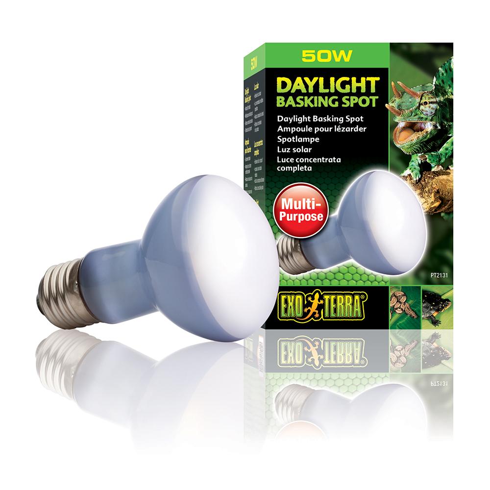 50 Watt Daylight Basking Terrarium Bulb from Exo Terra