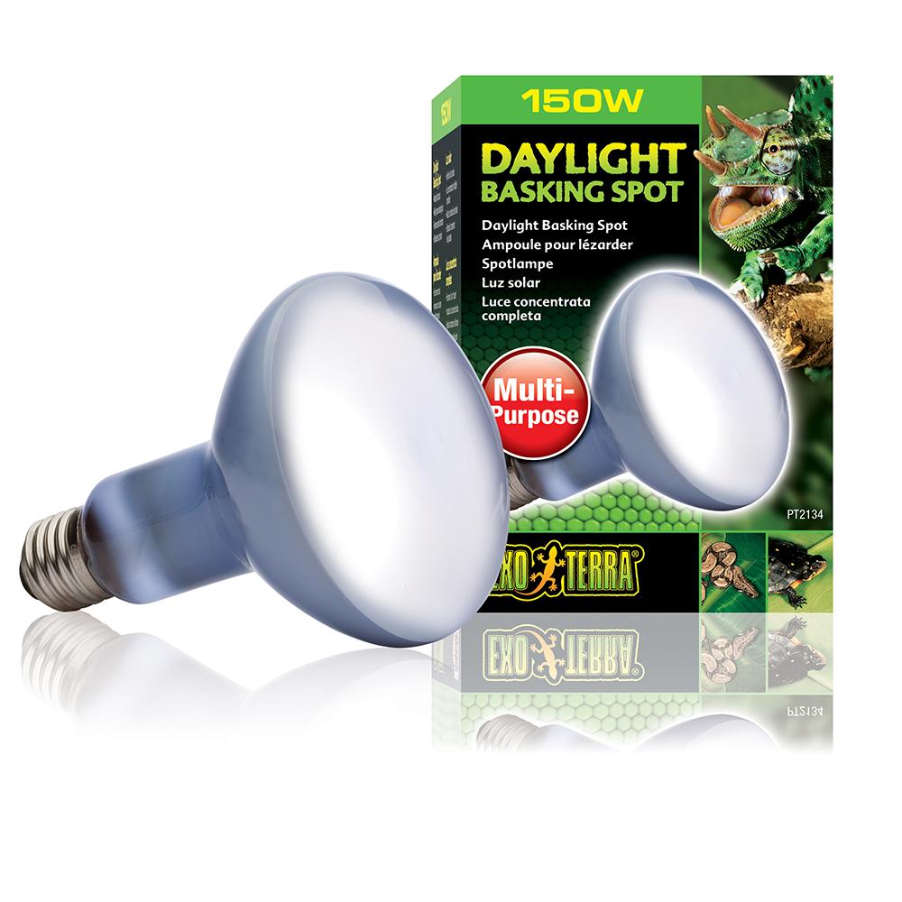 150 Watt Daylight Basking Terrarium Bulb from Exo Terra