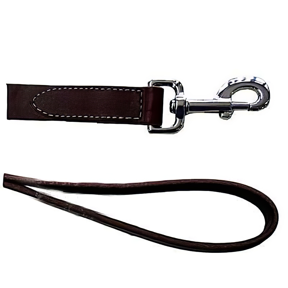 Circle T Leather Leash 4 foot 5/8 inch