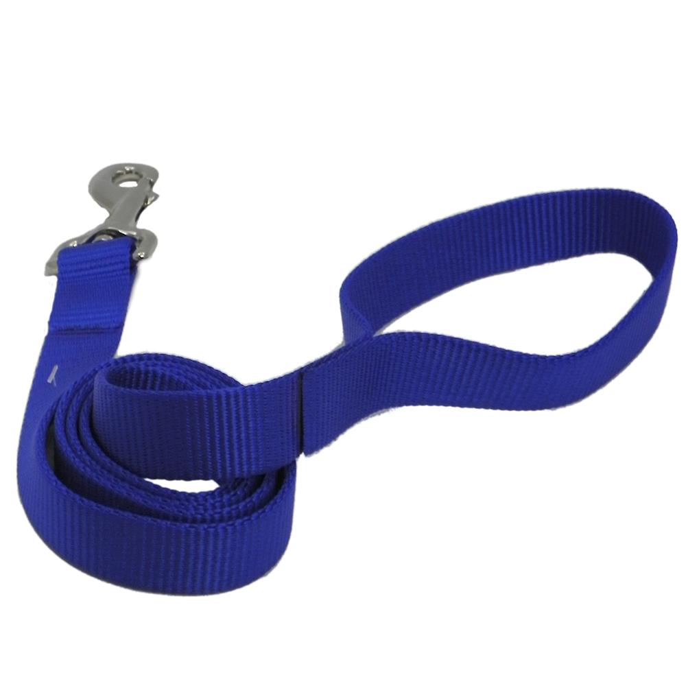 Nylon Dog Leash 1-inch x 4 foot Blue