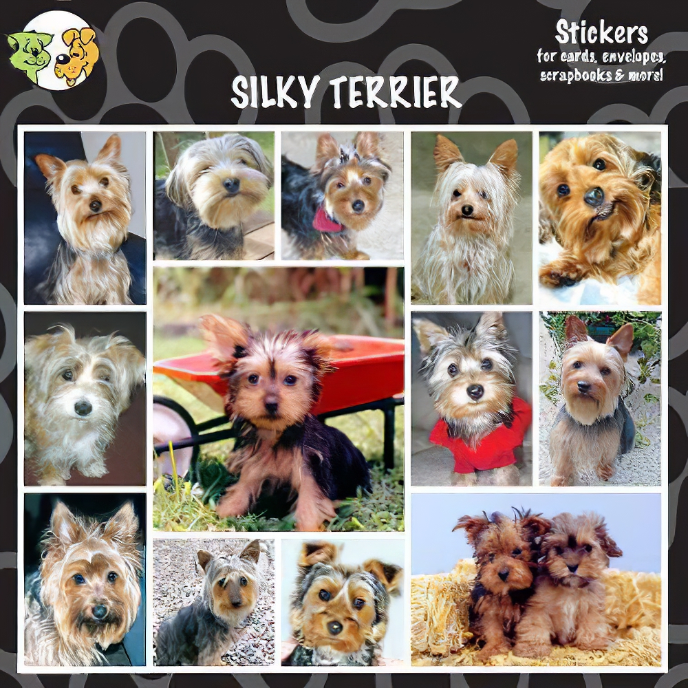 Arf Art Dog Sticker Pack Silky Terrier