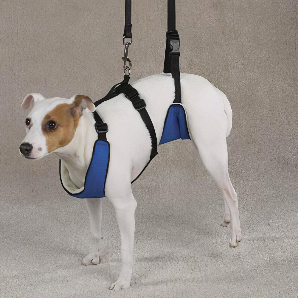 Lift & Lead Dog Harness Medium