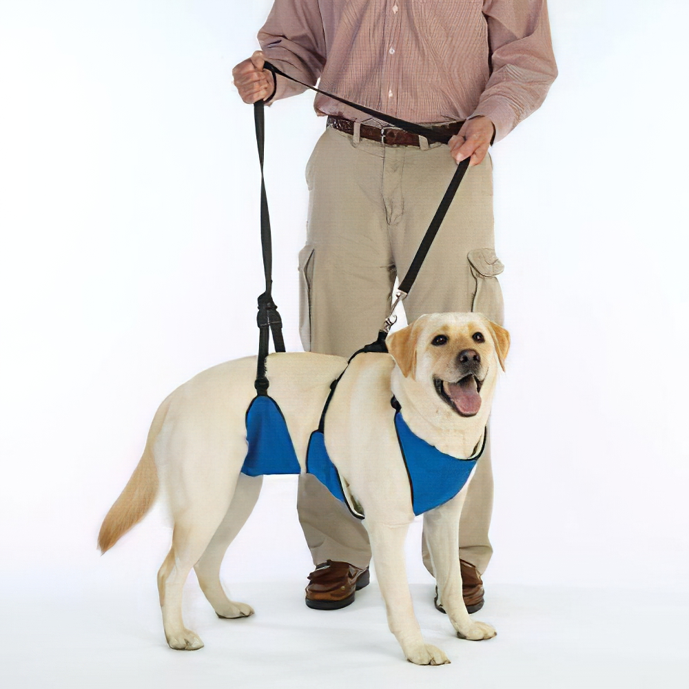 Lift & Lead Dog Harness Large