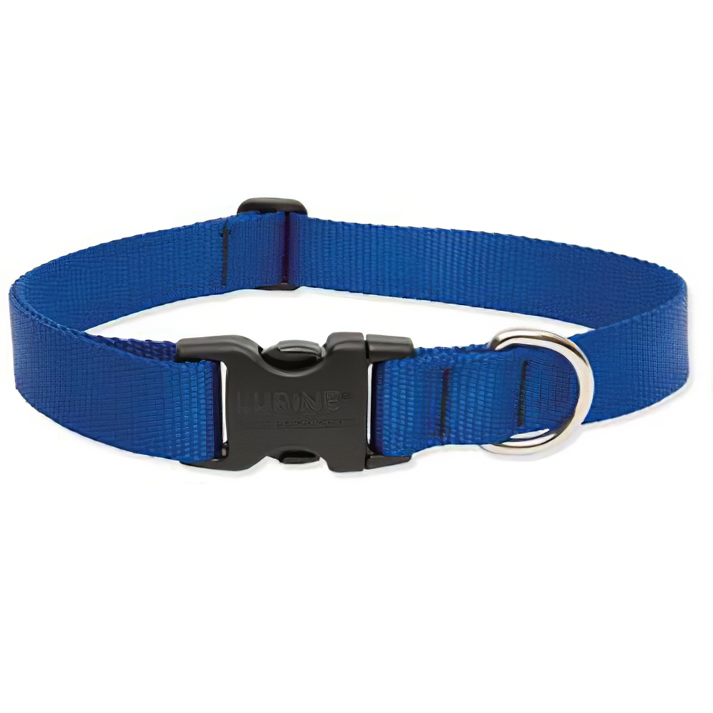 Lupine Nylon Dog Collar Adjustable Blue 9-14 inch