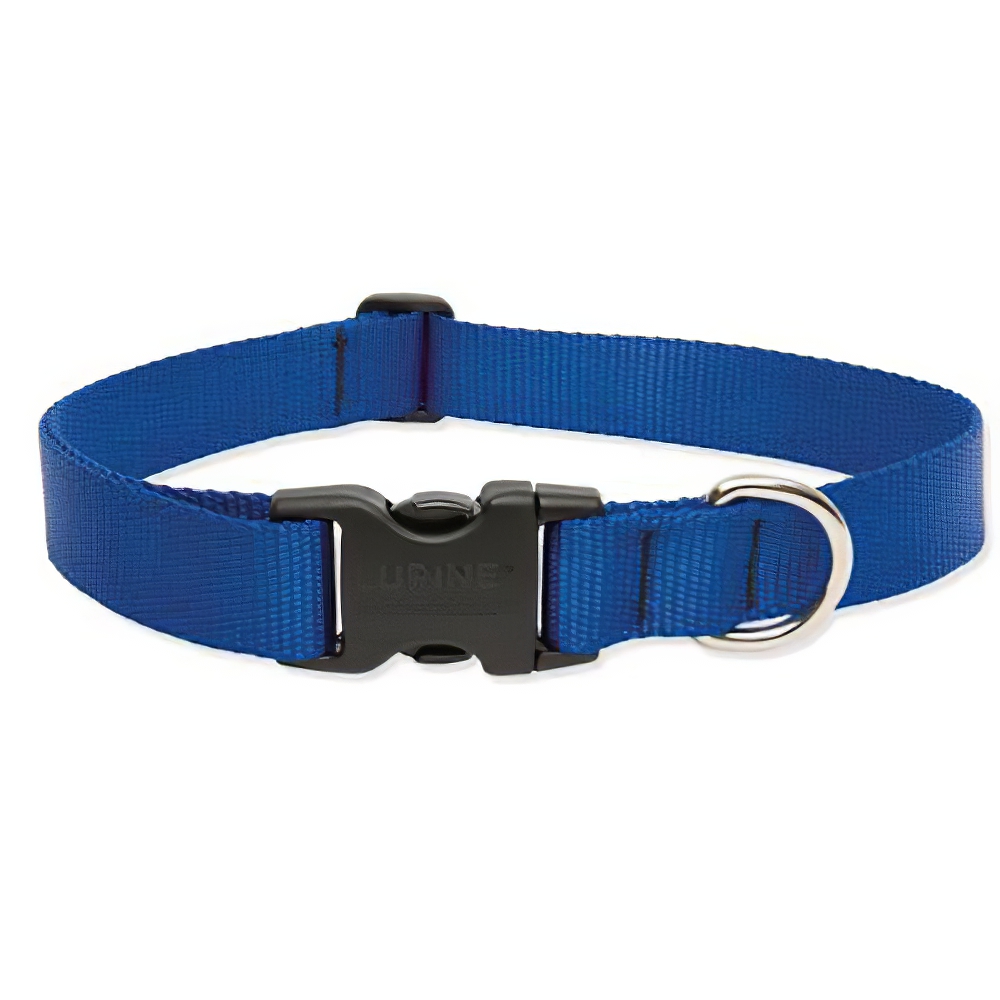 Lupine Nylon Dog Collar Adjustable Blue 12-20 inch