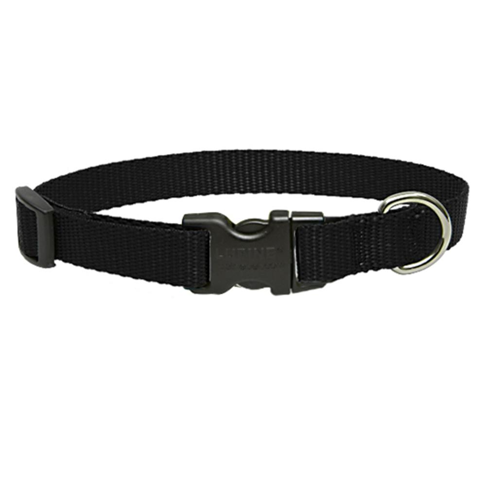 Lupine Nylon Dog Collar Adjustable Black 12-20 inch