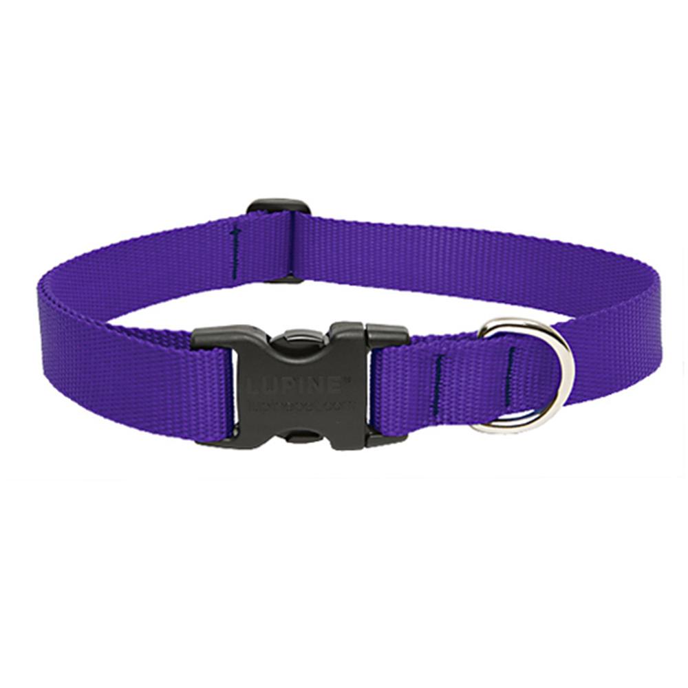 Lupine Nylon Dog Collar Adjustable Purple 12-20 inch