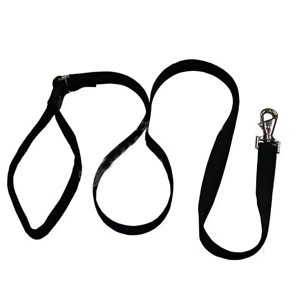 Lupine Nylon Dog Leash 4-foot x 3/4-inch Black