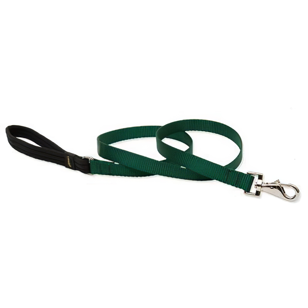 Lupine Nylon Dog Leash 6-foot x 3/4-inch Green