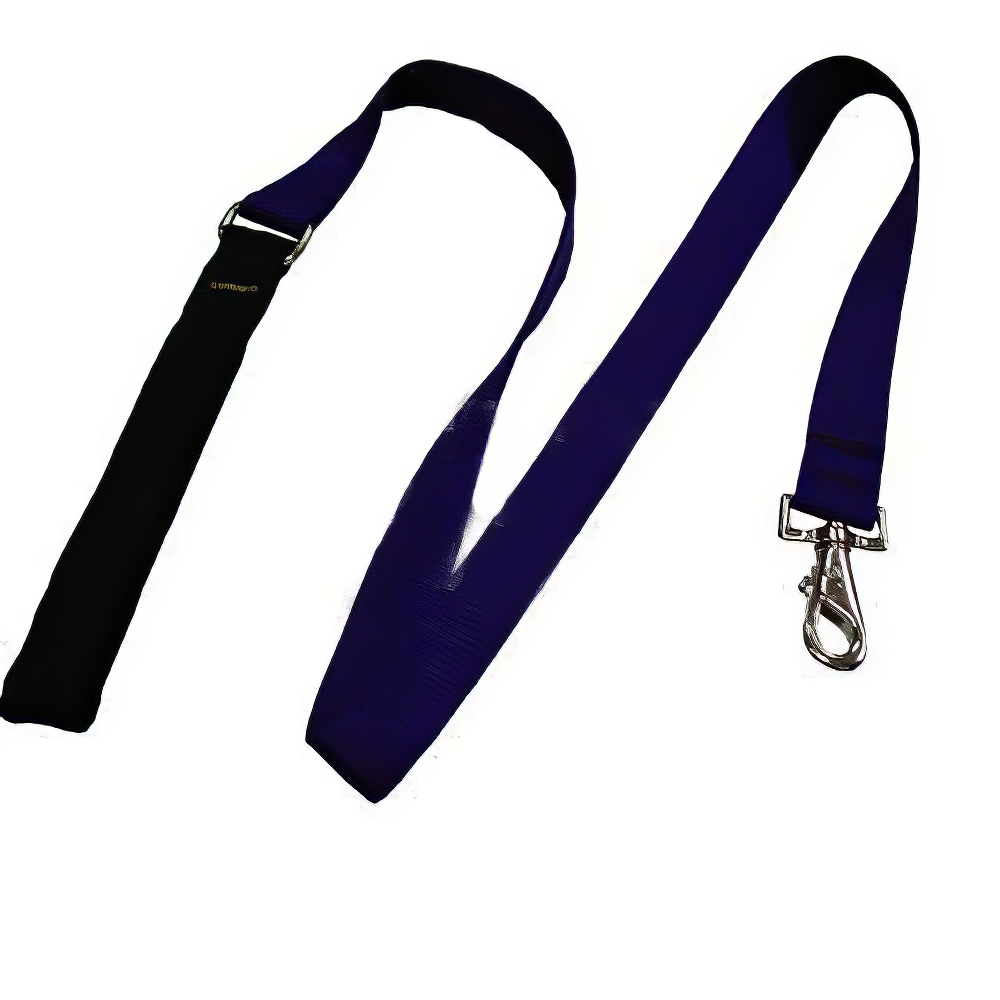 Lupine Nylon Dog Leash 4-foot x 1-inch Purple