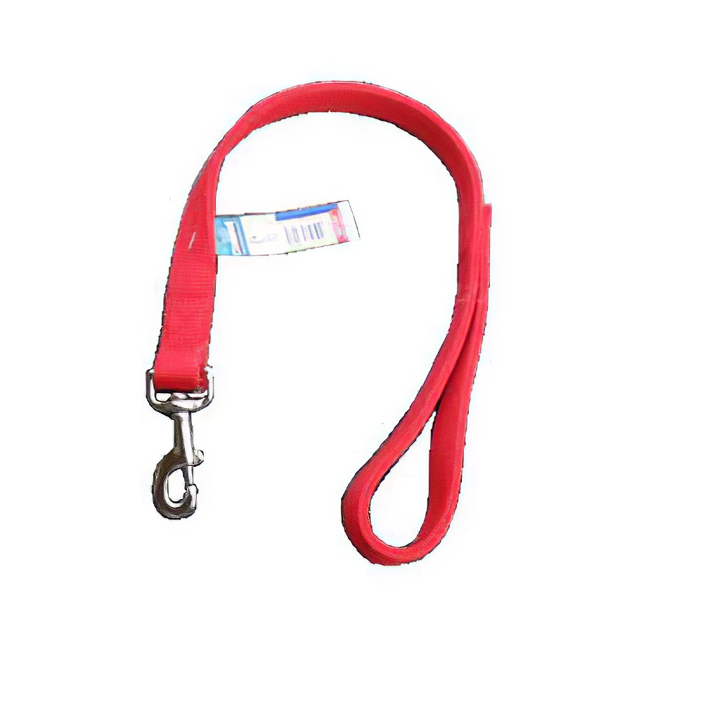 Nylon Dog Traffic Leash 1-inch x 2 foot Red