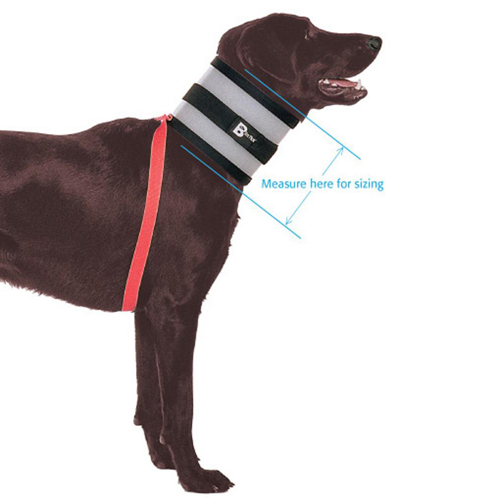 The Original BiteNot Dog Collar Size 7 Cone Alternative