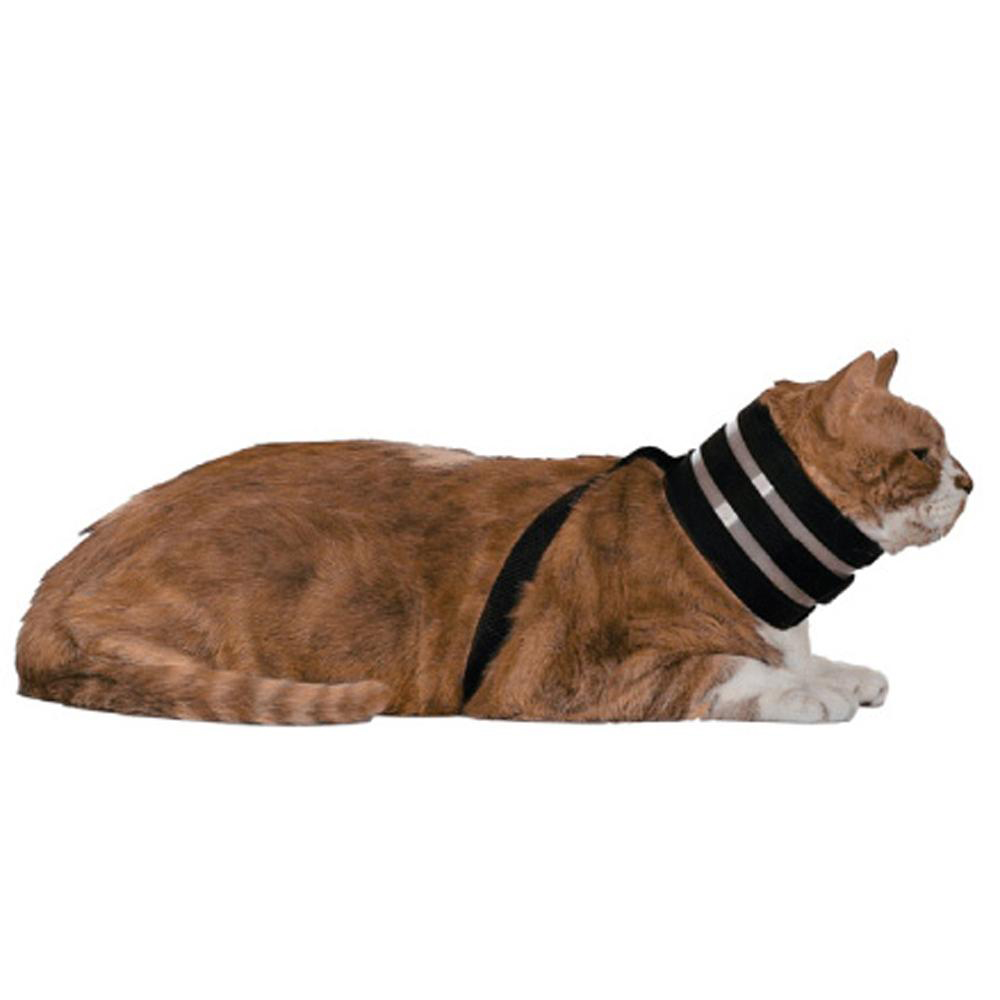The Original BiteNot Cat Collar Small Cone Alternative