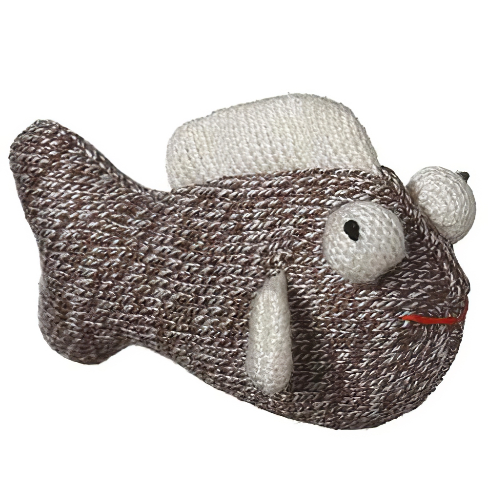 Sock Pal Fish Cat Toy