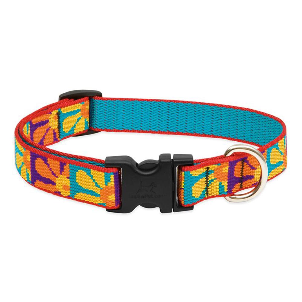 Dog Collar Adjustable Nylon Crazy Daisy Lupine 9-14