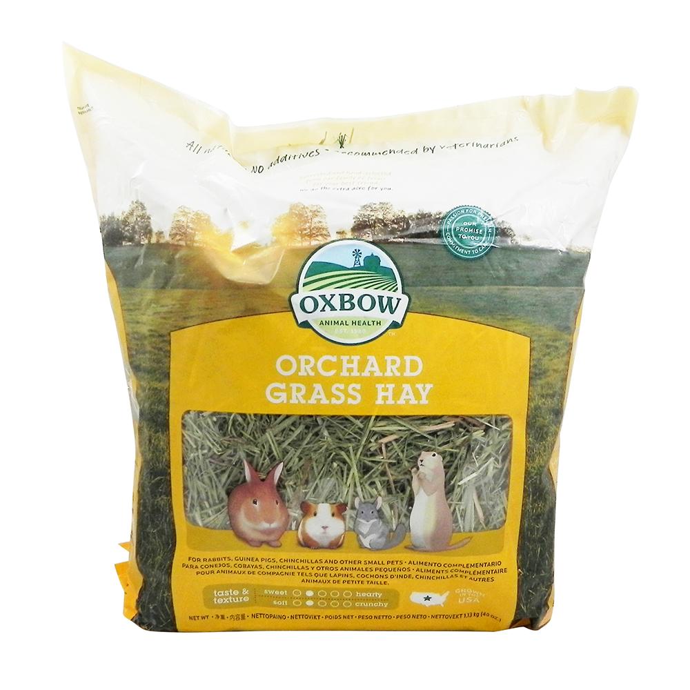 Oxbow Orchard Hay For Small Animals 40-oz