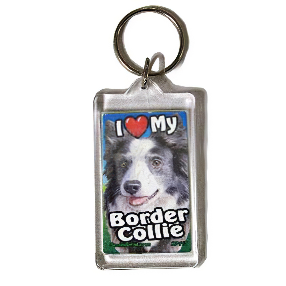 Plastic Keyring Border Collie