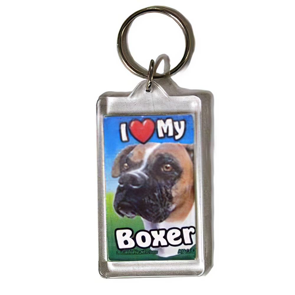 Plastic Keyring Boxer