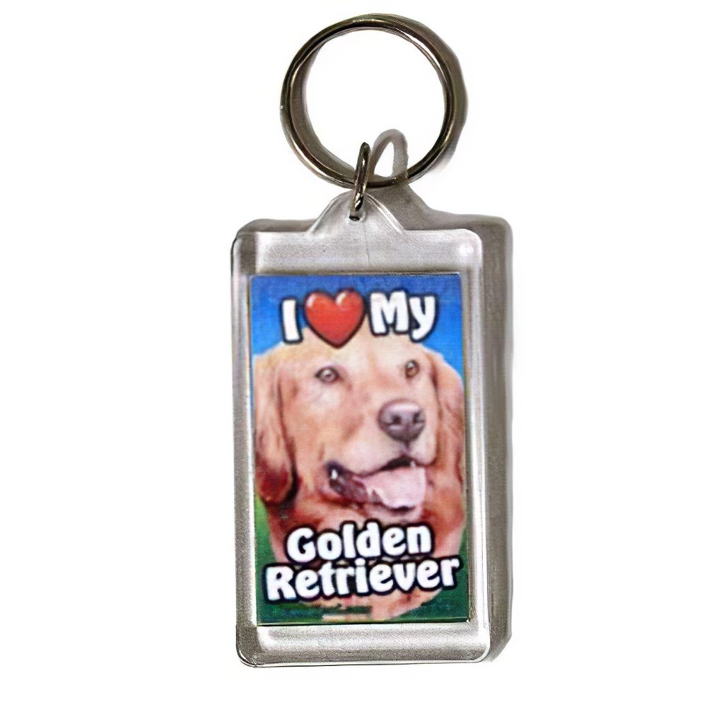 Plastic Keyring Golden Retriever