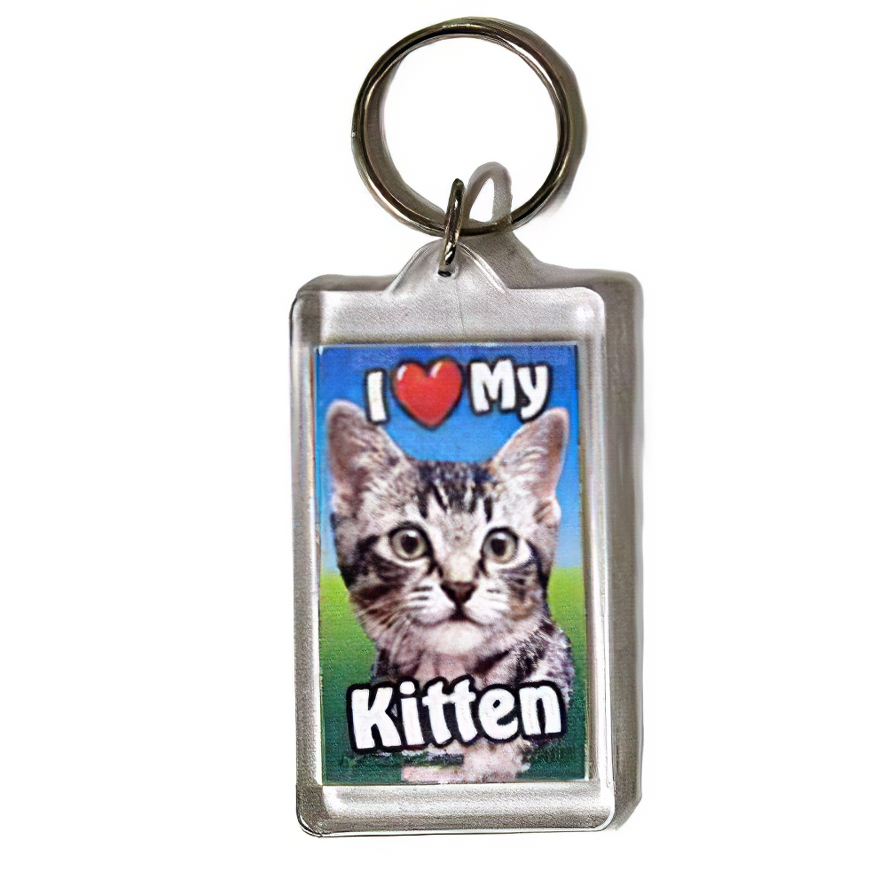 Plastic Keyring Kitten Tabby Light