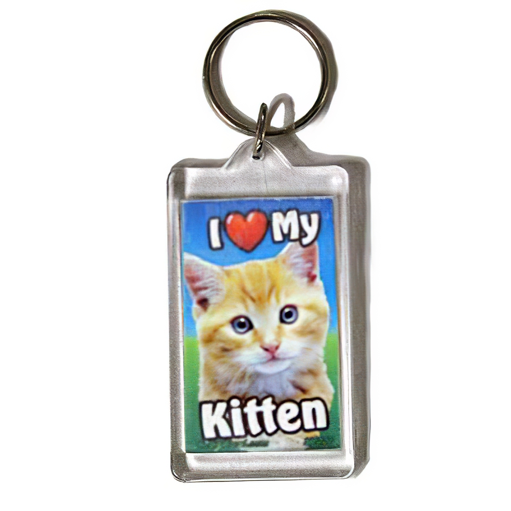 Plastic Keyring Kitten Orange