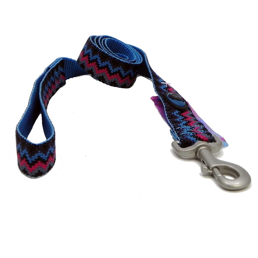 Hamilton Nylon Ocean Weave Dog Leash 1-inch x 4-ft