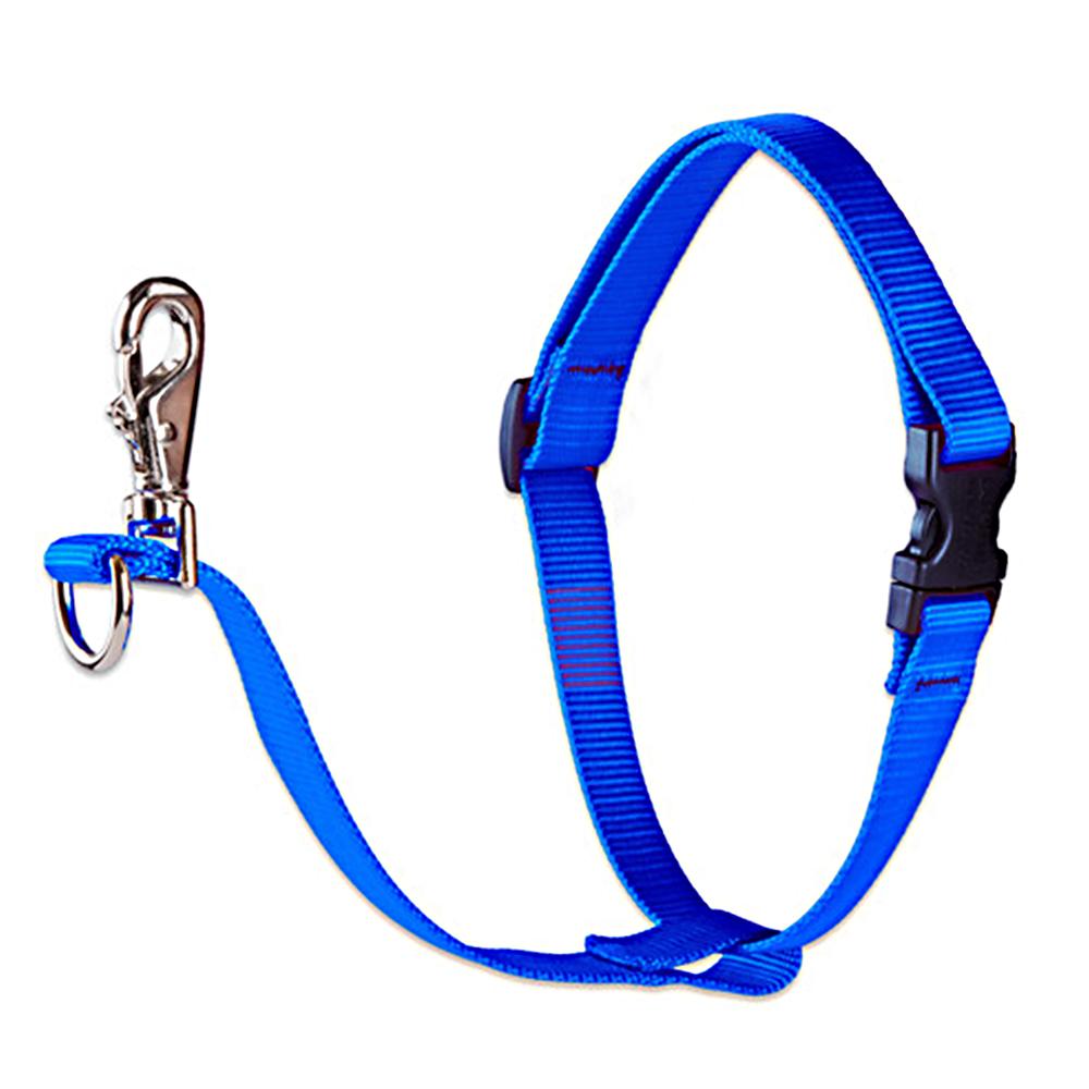 Lupine No Pull Training Harness For Dogs Medium Blue