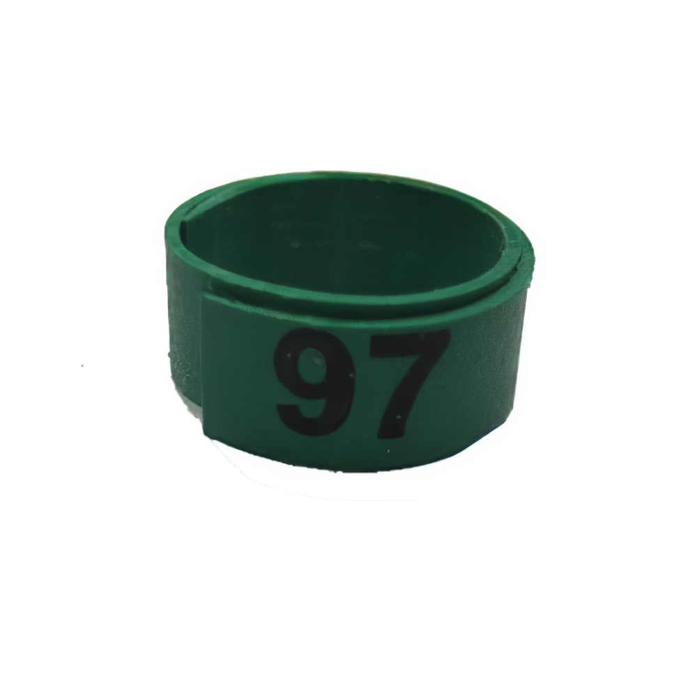 Poultry Numbered Leg Bandette Green Size 12 (single band)