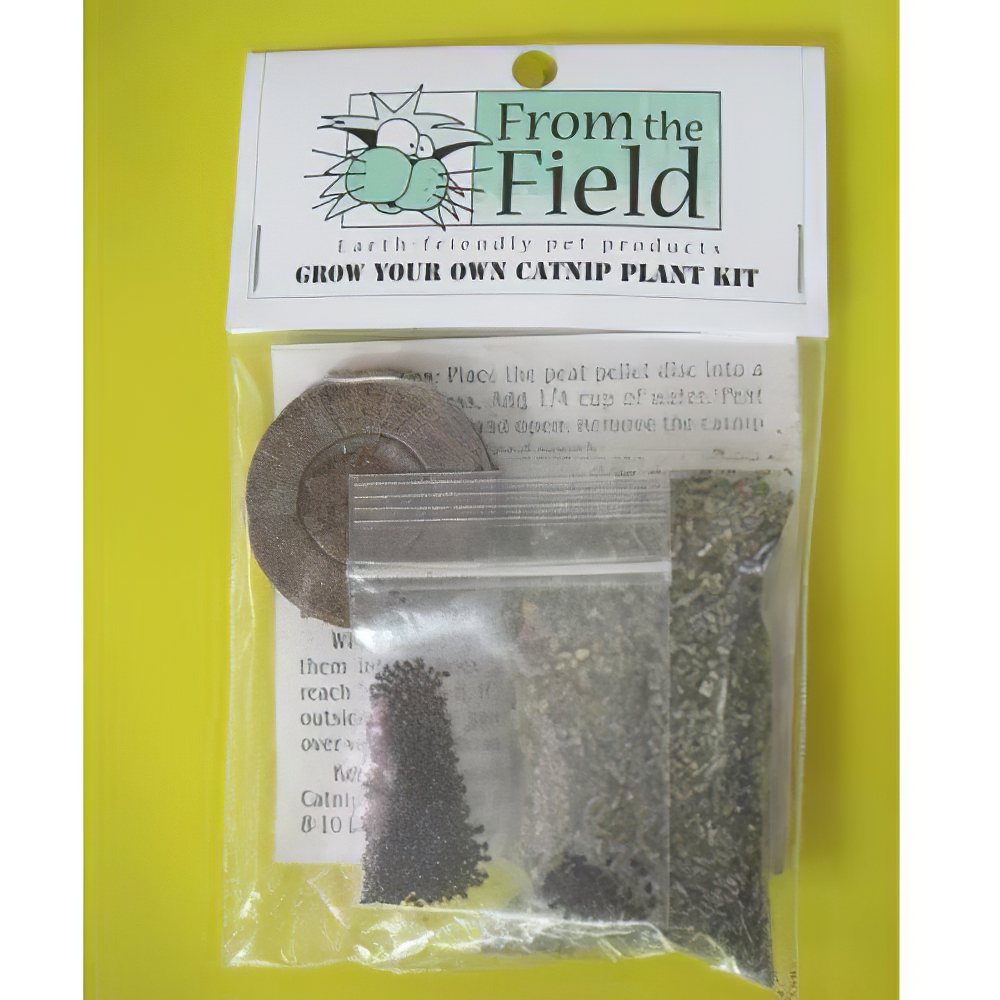 From the Field Grow Your Own Catnip Plant Kit