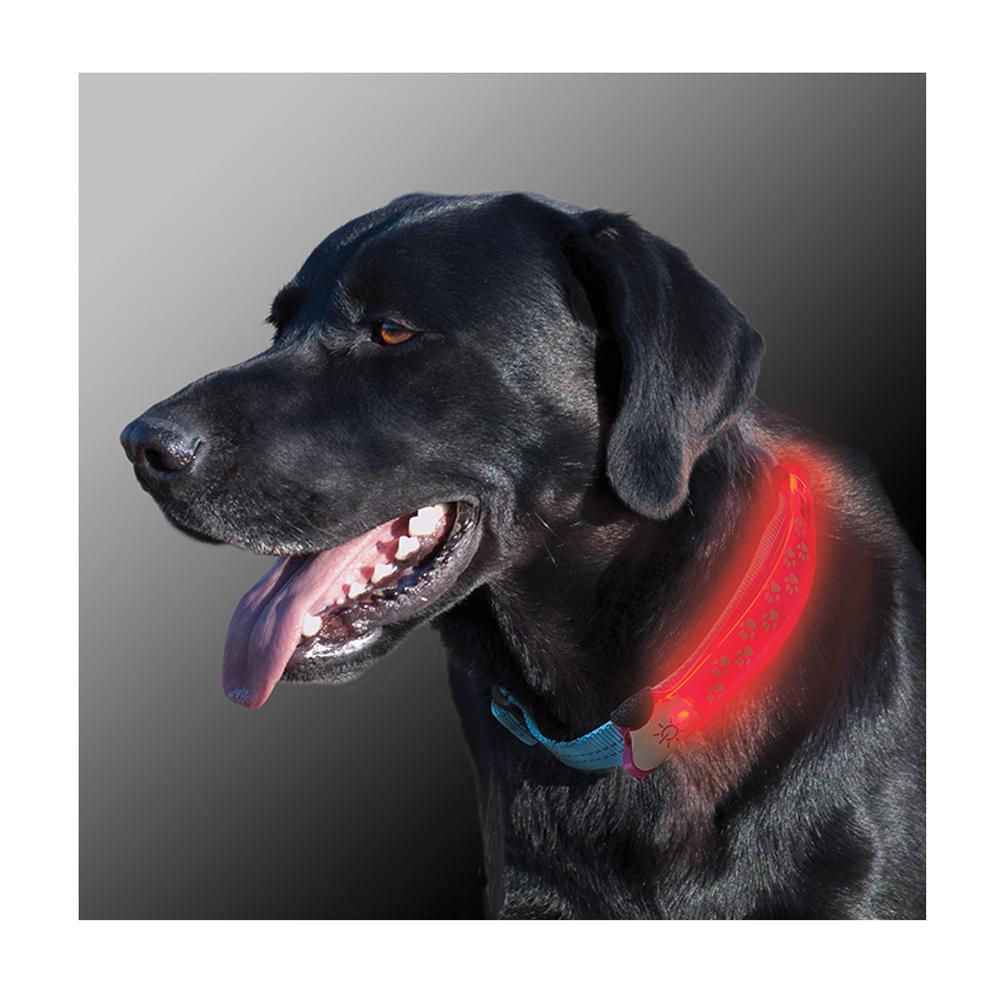 Nite Dawg LED Collar Cover Pink for Dog Collars