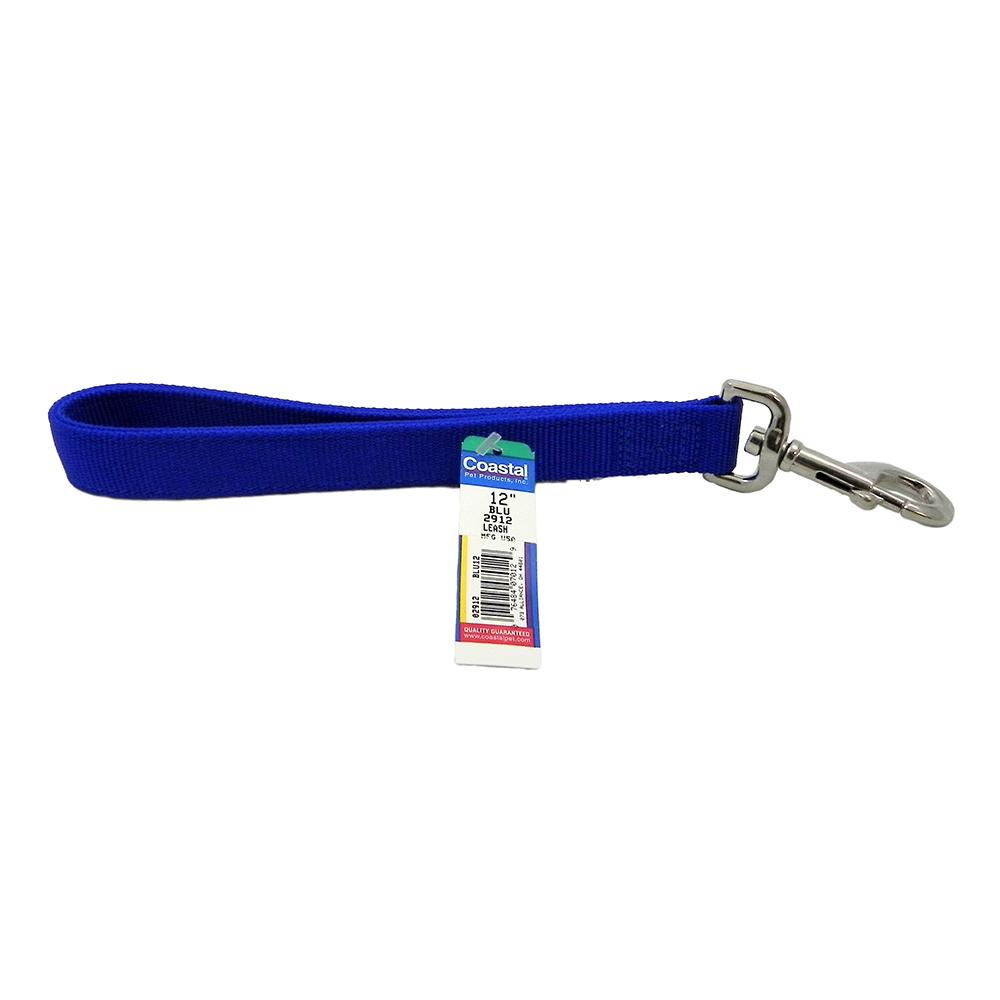 Nylon Dog Traffic Leash 1-inch x 1 foot Blue