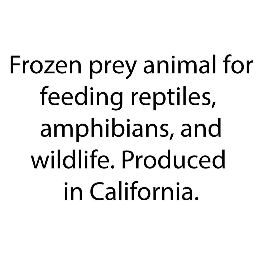 Frozen Feeder Rat Small