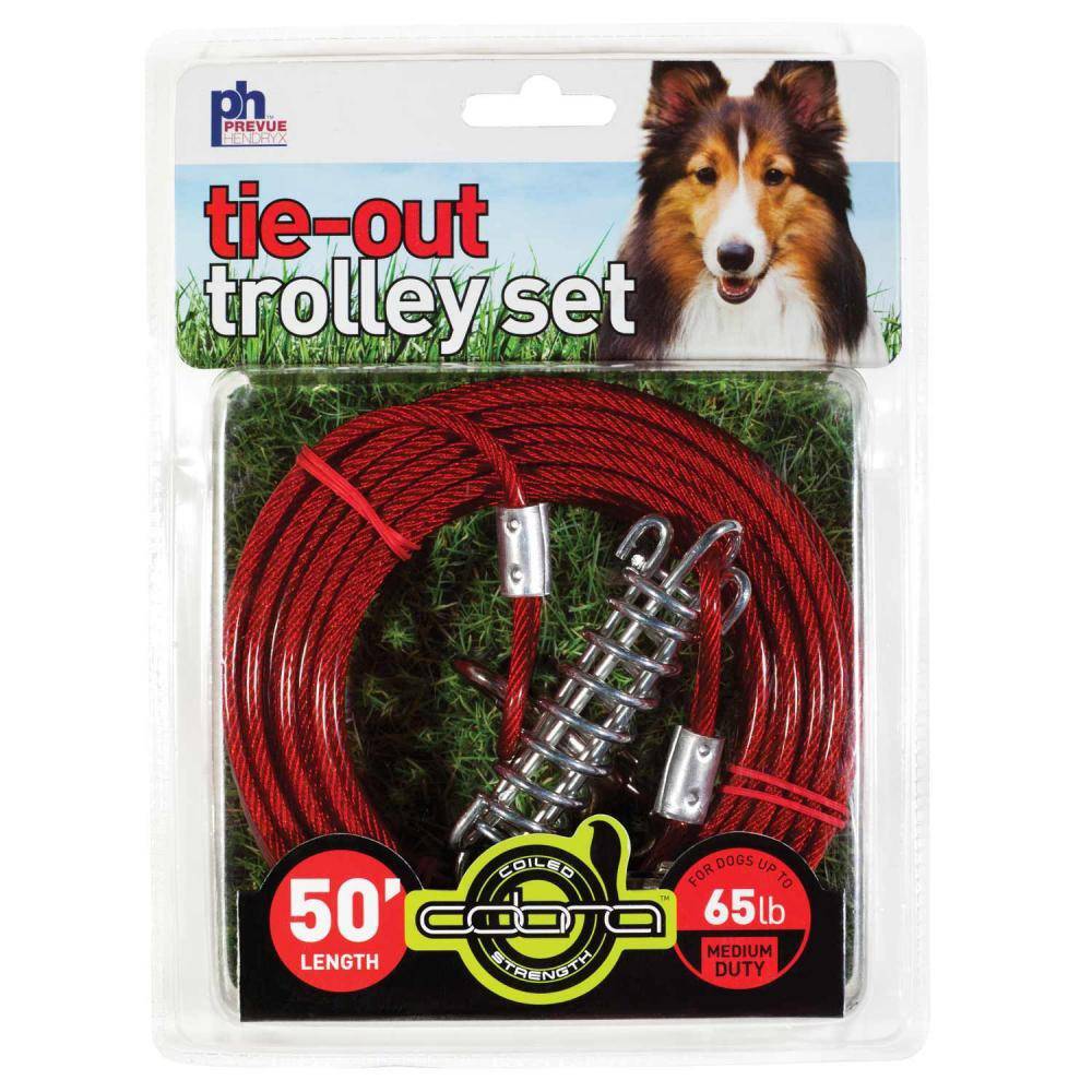 Tie-out Trolley Set 50 ft.