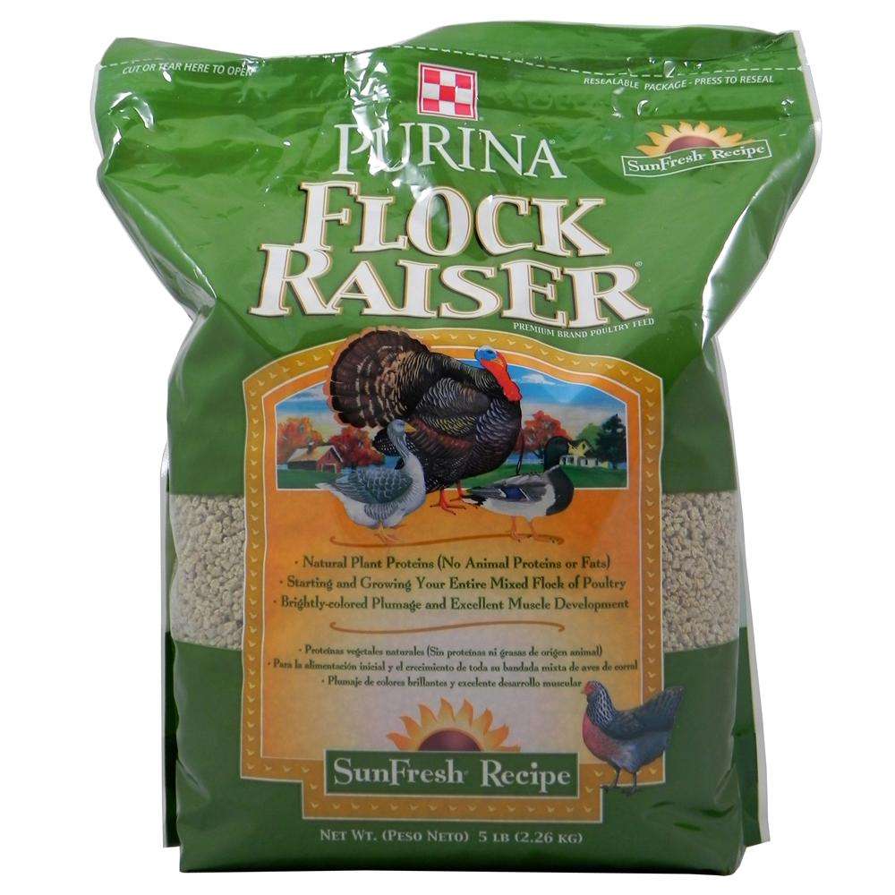 Purina Flock Raiser Crumble 5lb