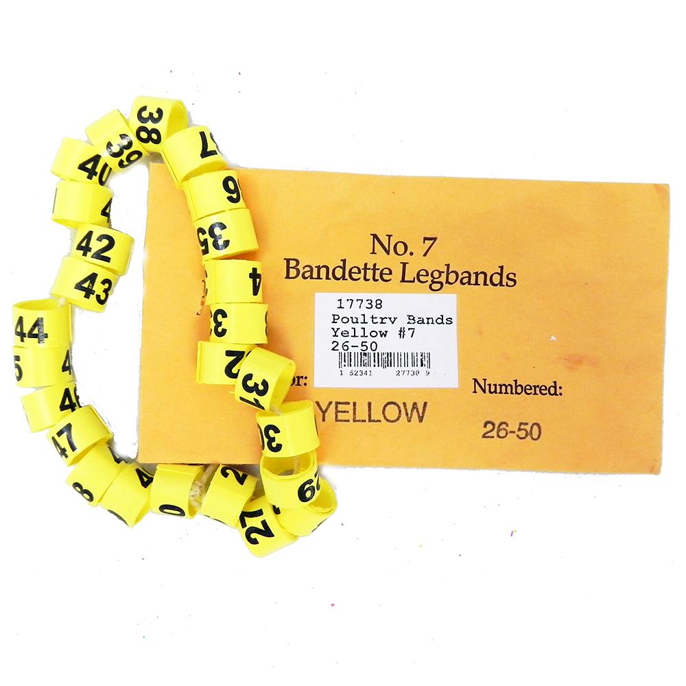Poultry Numbered Leg Bands Yellow Size 7 Numbered 26-50