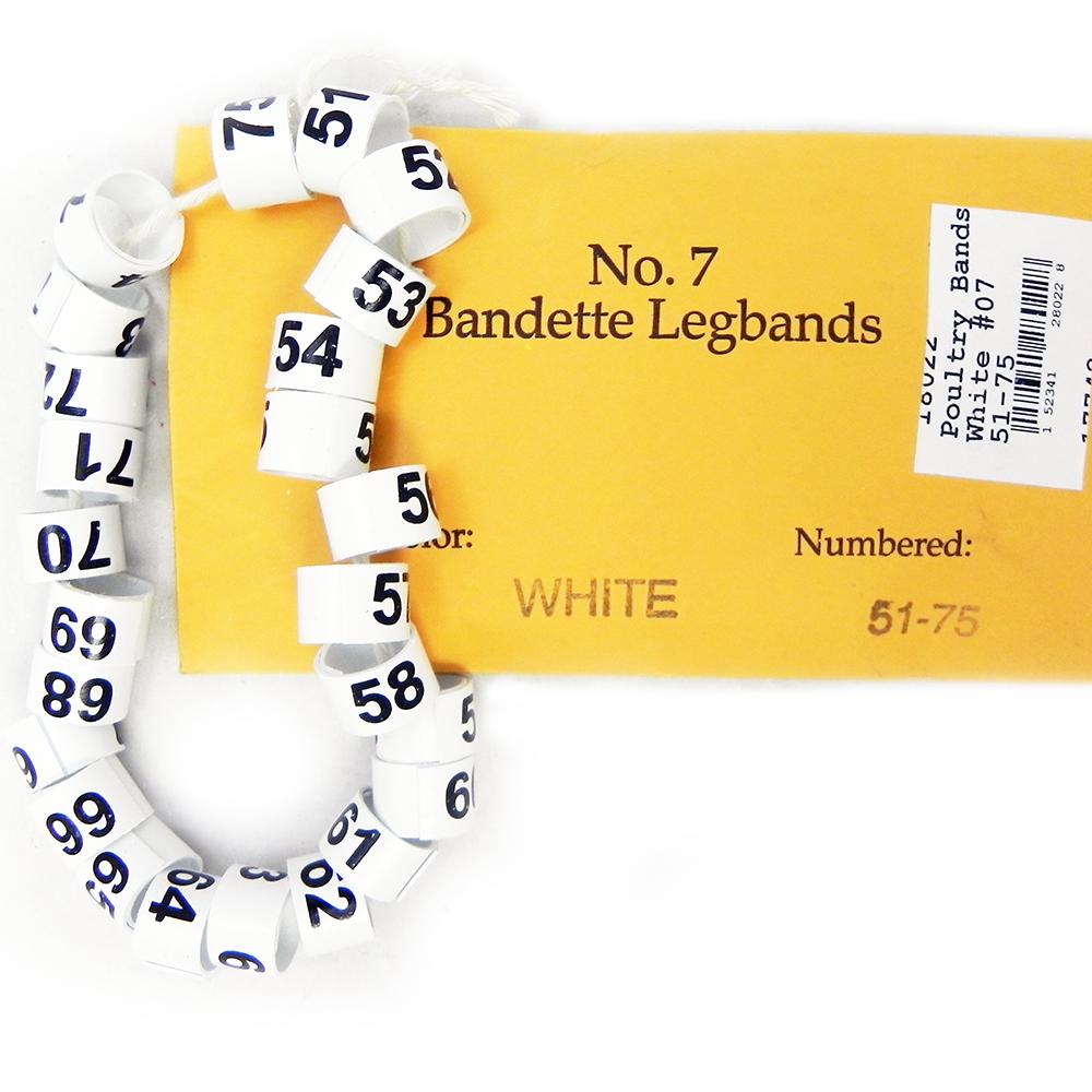 Poultry Numbered Leg Bands White Size 7 Numbered 51-75