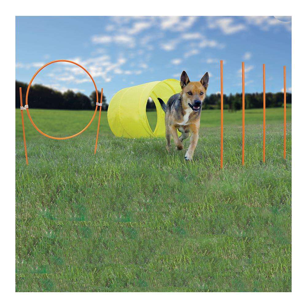 Outward Hound Outdoor Agility Starter Kit