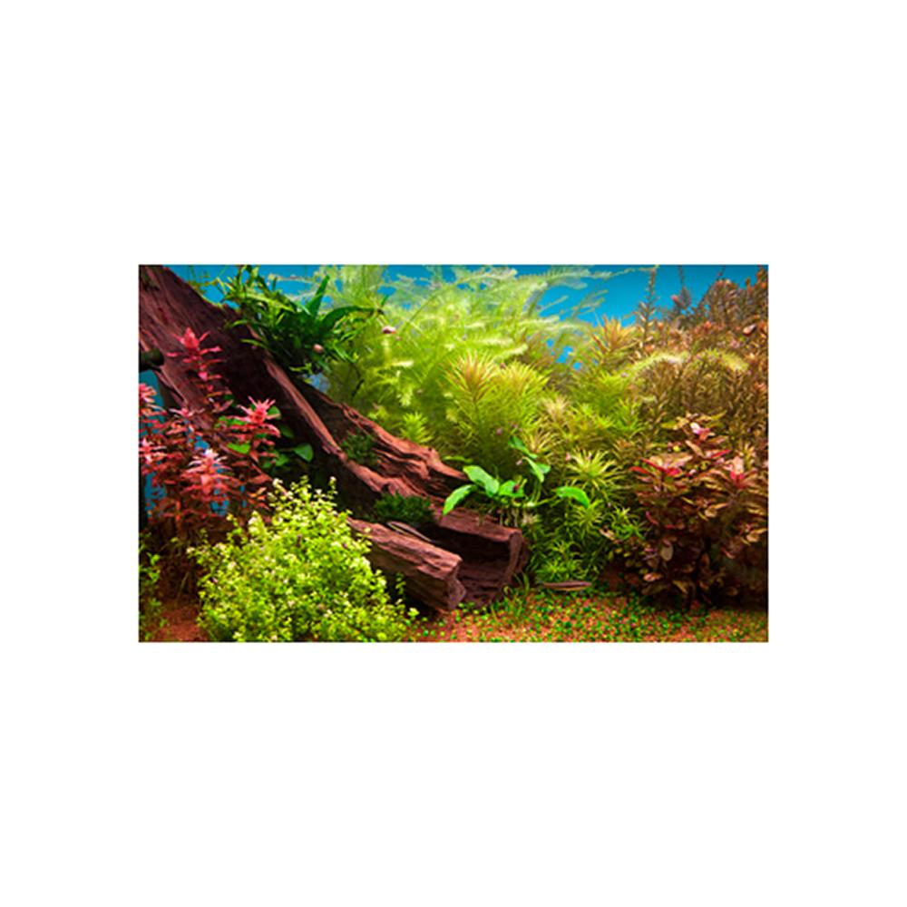 Fresh Water Plant 3D Aquarium Background 24 x 16-in.