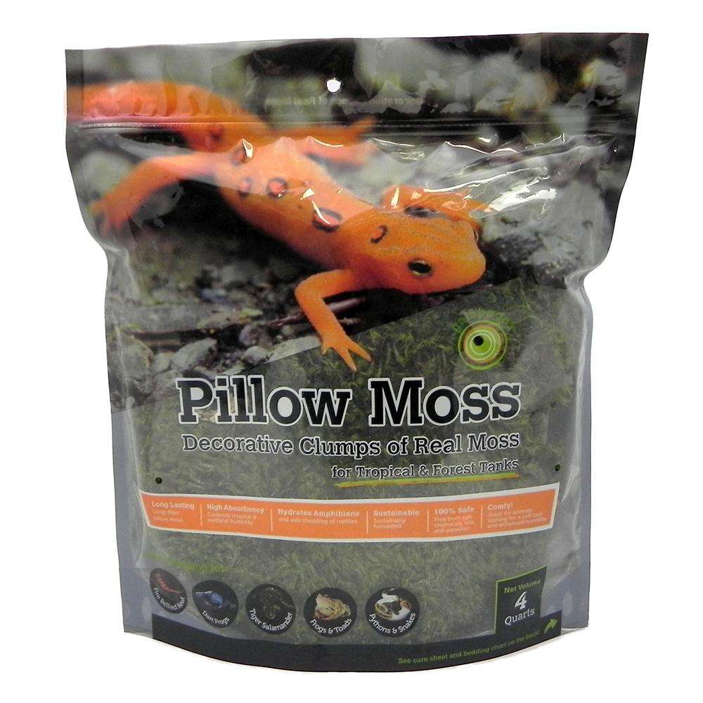 Galapagos Pillow Moss 4qt Terrarium Decoration and Substrate