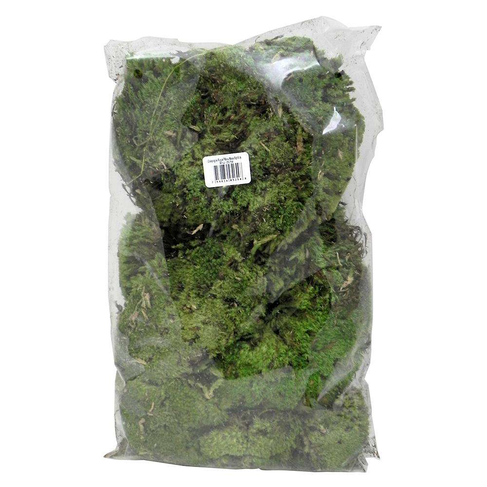 Galapagos Royal Pillow Moss for Reptiles and Amphibians 8qt