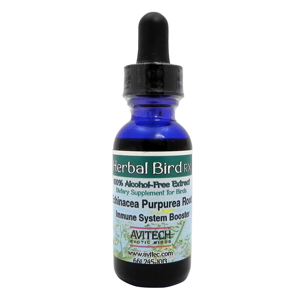 Avitech Bird Echinacea Purpurea 1oz