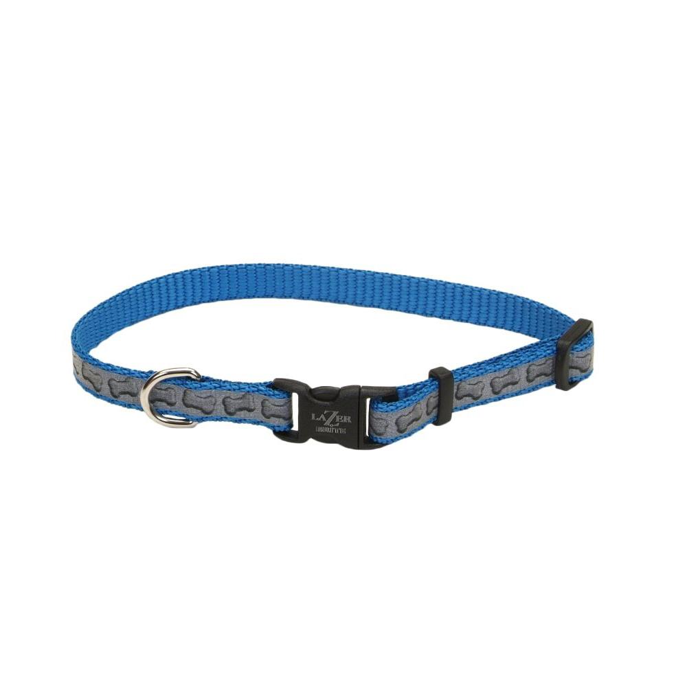 Lazer Brite Bones Small Reflective Dog Collar